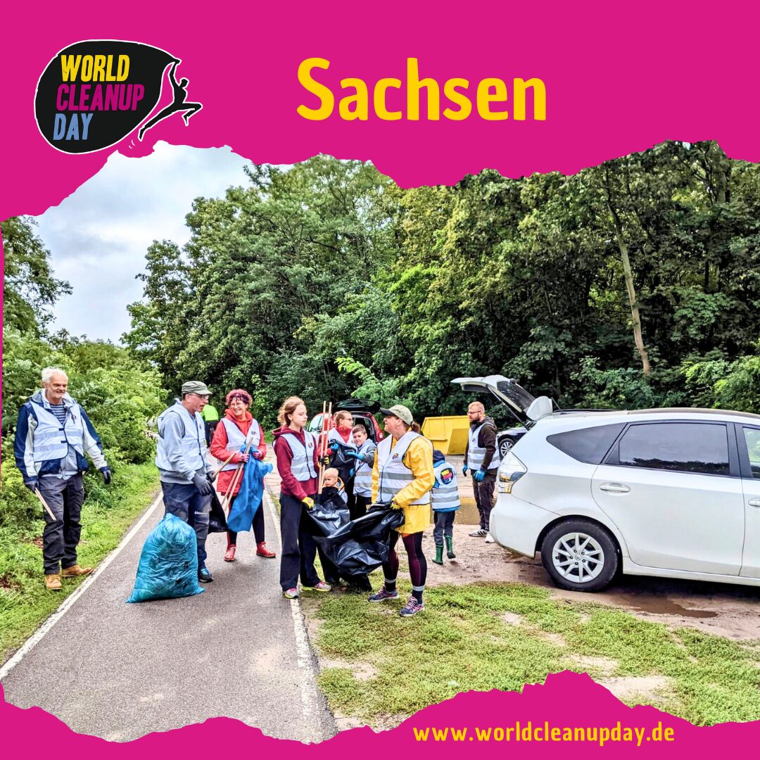 Der Dreck muss weg - Pirnaer Frühjahrsputz