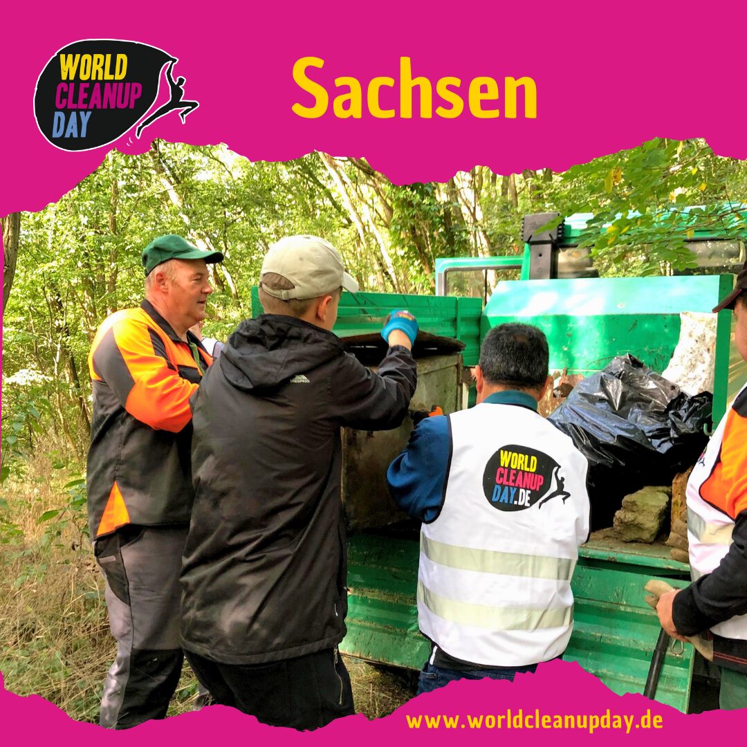 Der Dreck muss weg - Pirnaer Frühjahrsputz