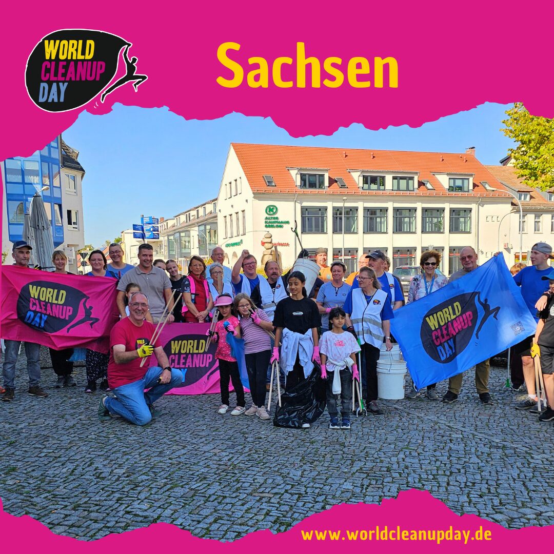 Der Dreck muss weg - Pirnaer Frühjahrsputz