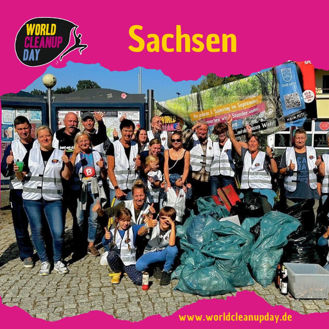 Der Dreck muss weg - Pirnaer Frühjahrsputz