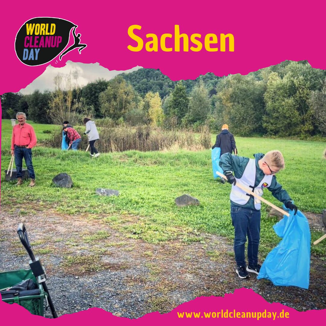 Der Dreck muss weg - Pirnaer Frühjahrsputz