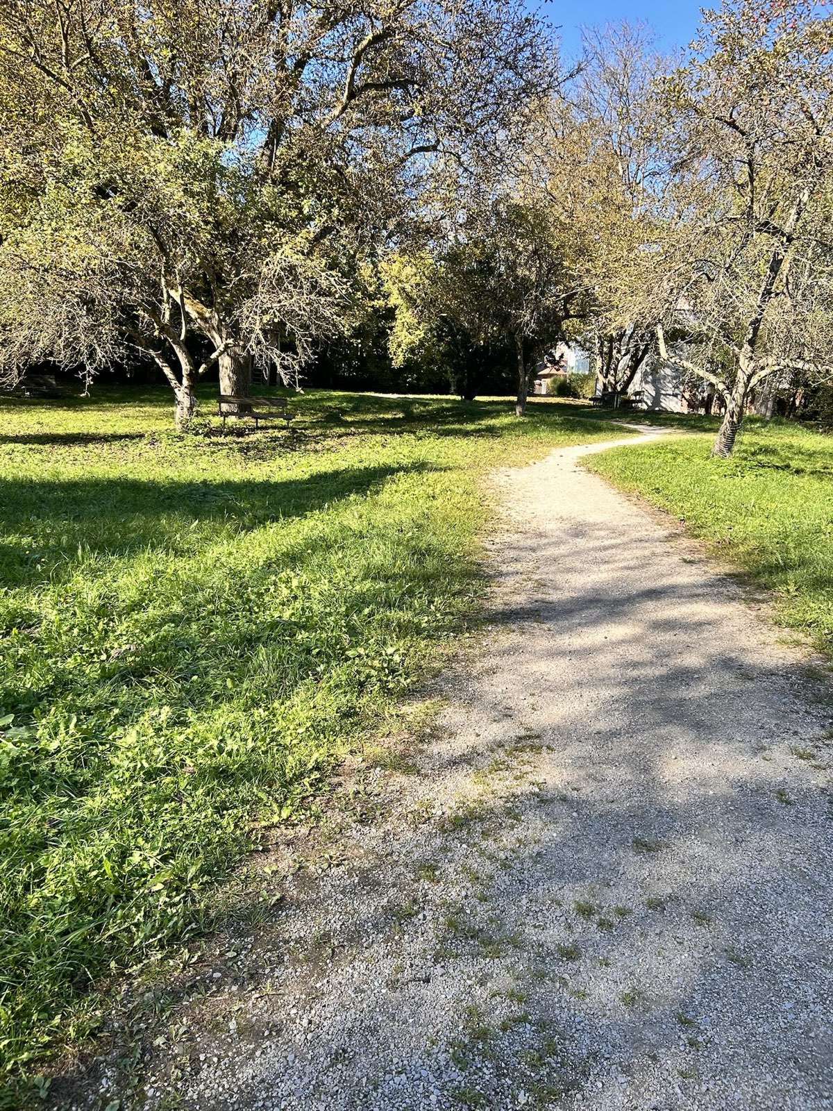 Chilli Milli Weltretter