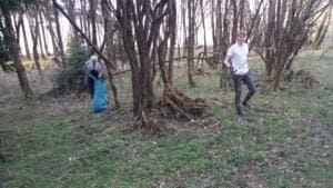 Zwei Helfer sammeln mit blauen Säcken Müll zwischen jungen Bäumen auf einer Wiese am Waldrand.