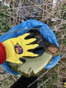 Eine Hand im gelben World-Cleanup-Day-Handschuh steckt einen moosbewachsenen Toilettensitz und einen alten Schuh in einen blauen Sack.