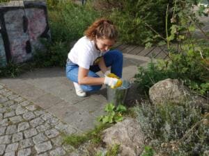 Eine junge Frau im World-Cleanup-Day-Shirt hockt mit Eimer an einem Beet und sammelt Müll zwischen Steinen und Pflanzen.