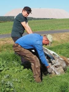 Zwei Männer ziehen eine alte Plastikfolie aus dem Gras am Feldrand, im Hintergrund eine weiße Abraumhalde.