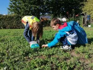 Zwei Kinder in Warnwesten sammeln gebückt Müll aus dem Gras einer Wiese.