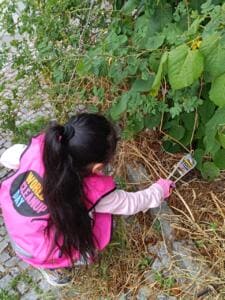 Ein Mädchen in pinker World-Cleanup-Day-Weste hockt am Wegrand und greift mit einer kleinen Zange nach Müll im trockenen Gras.