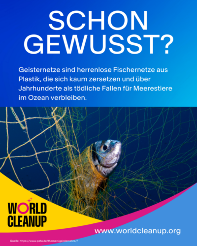 SG Geisternetze 1050-x-1350px