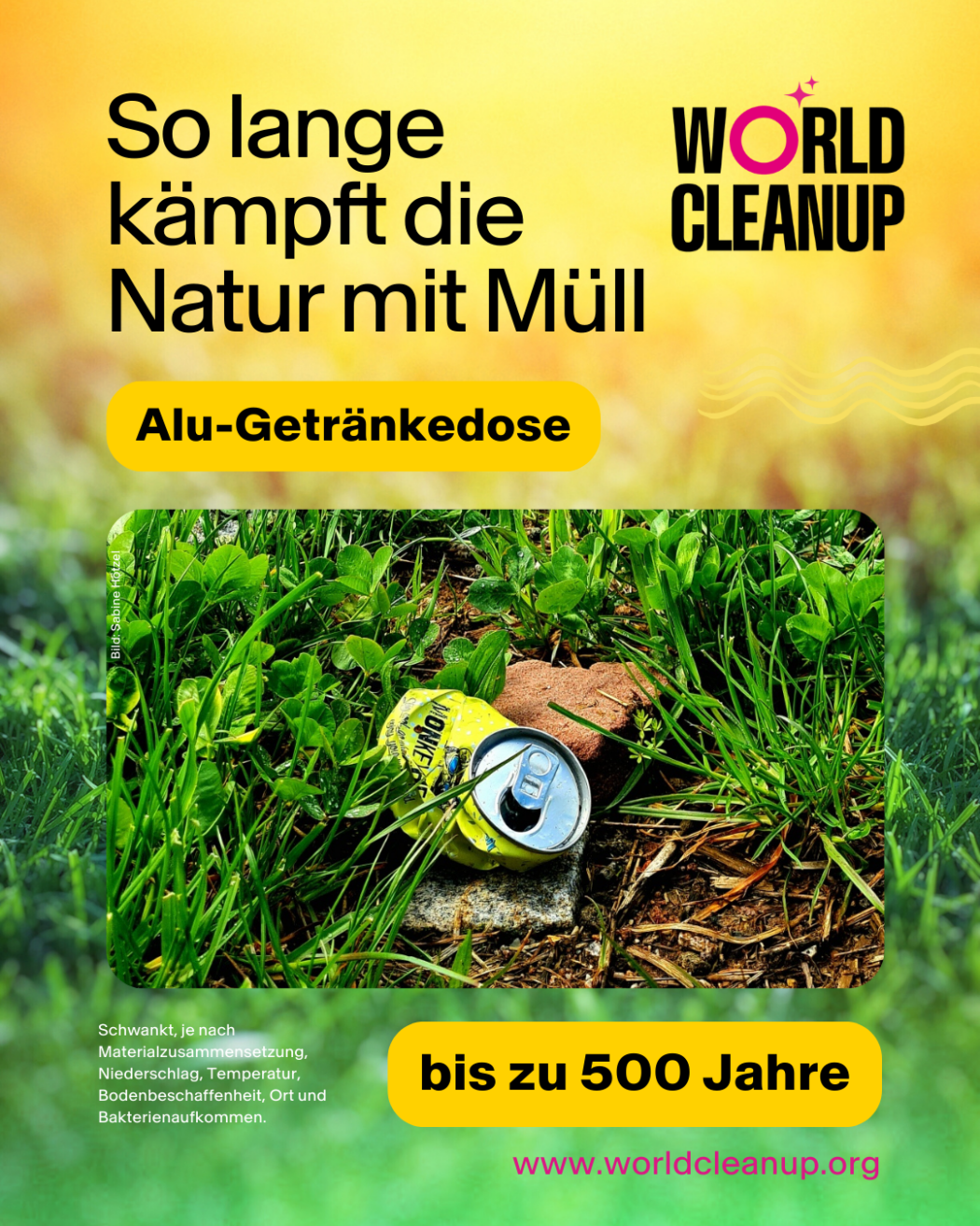 Verrottung Alu-Getraenkedose 1050x1350px