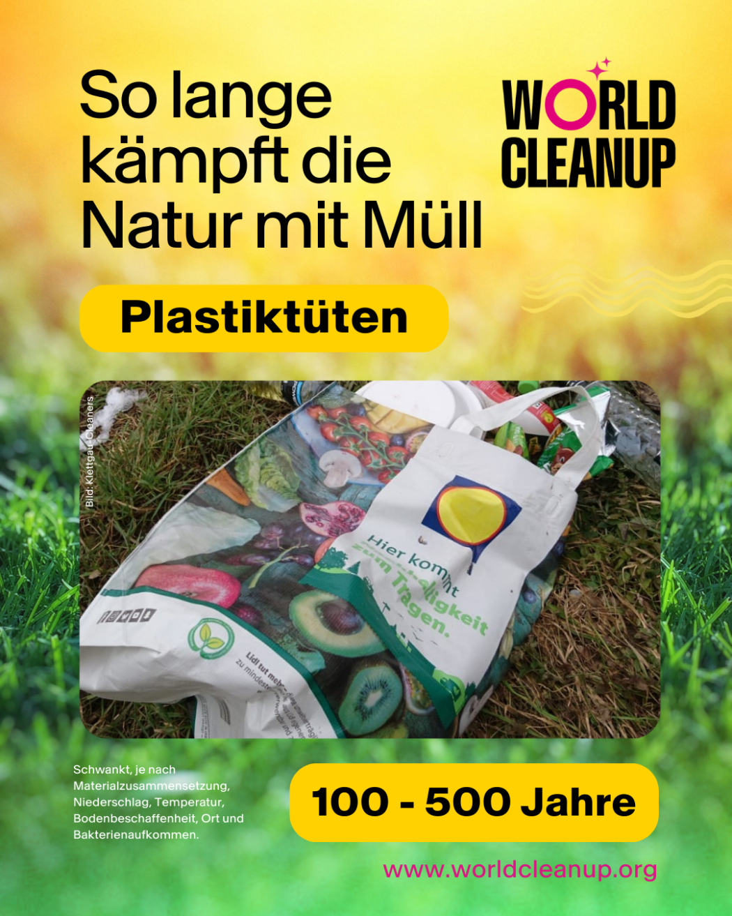 Verrottung Plastiktuete 1050x1350px